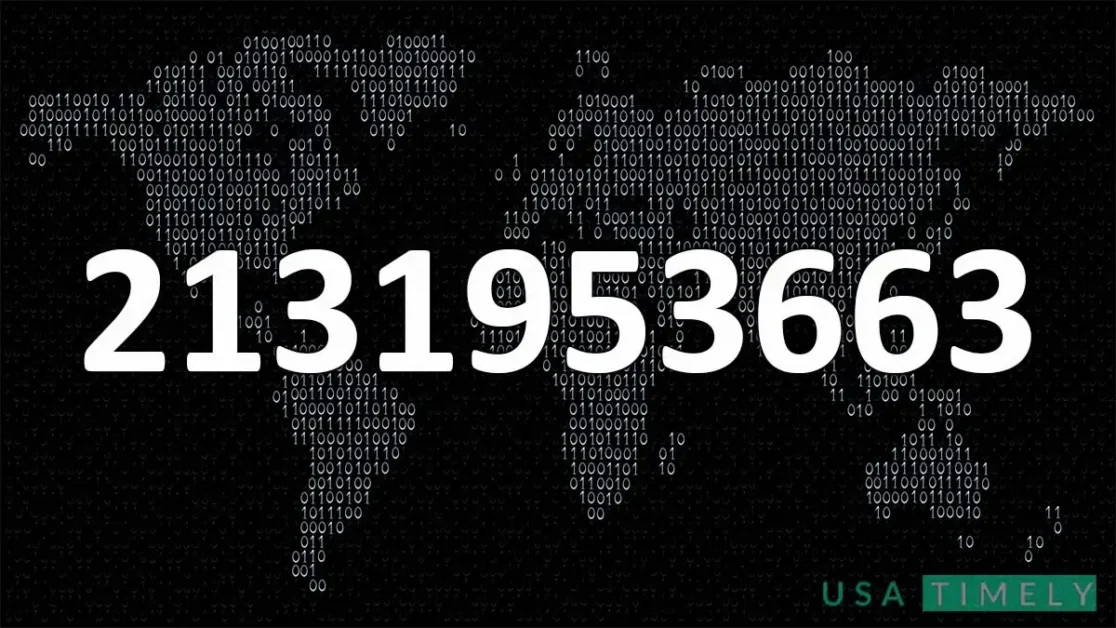 Everything You Need To Know About 2131953663