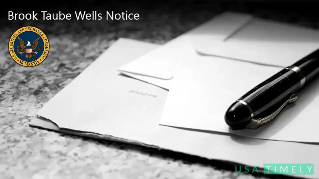 Brook Taube Wells Notice: Implications for Companies & Investors