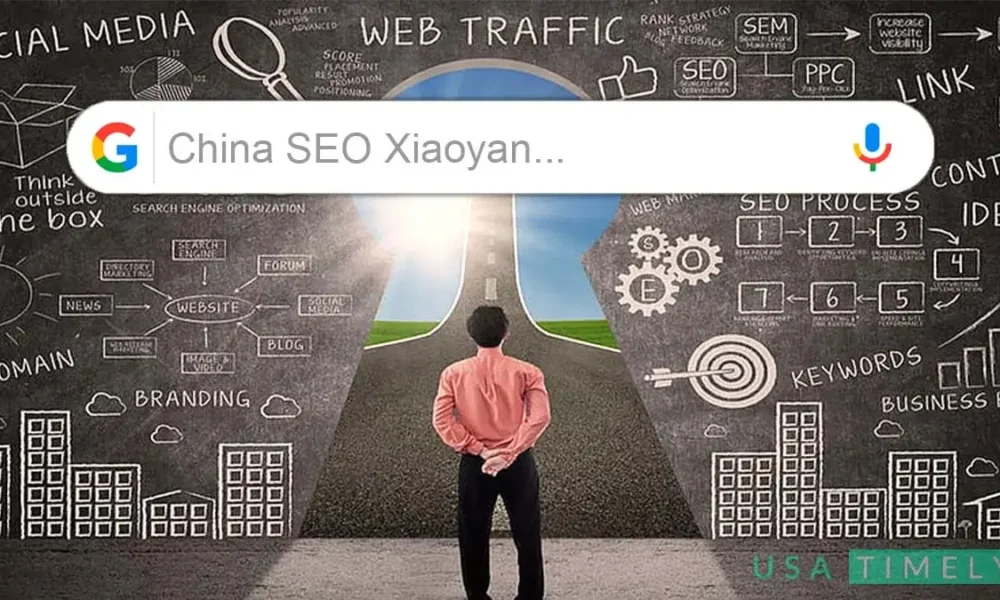 China SEO Xiaoyan Guide to Chinese Online Landscape