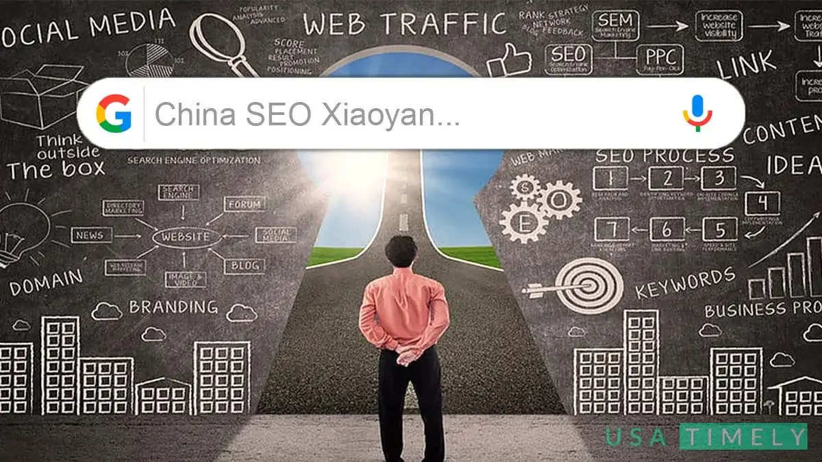 China SEO Xiaoyan Guide to Chinese Online Landscape